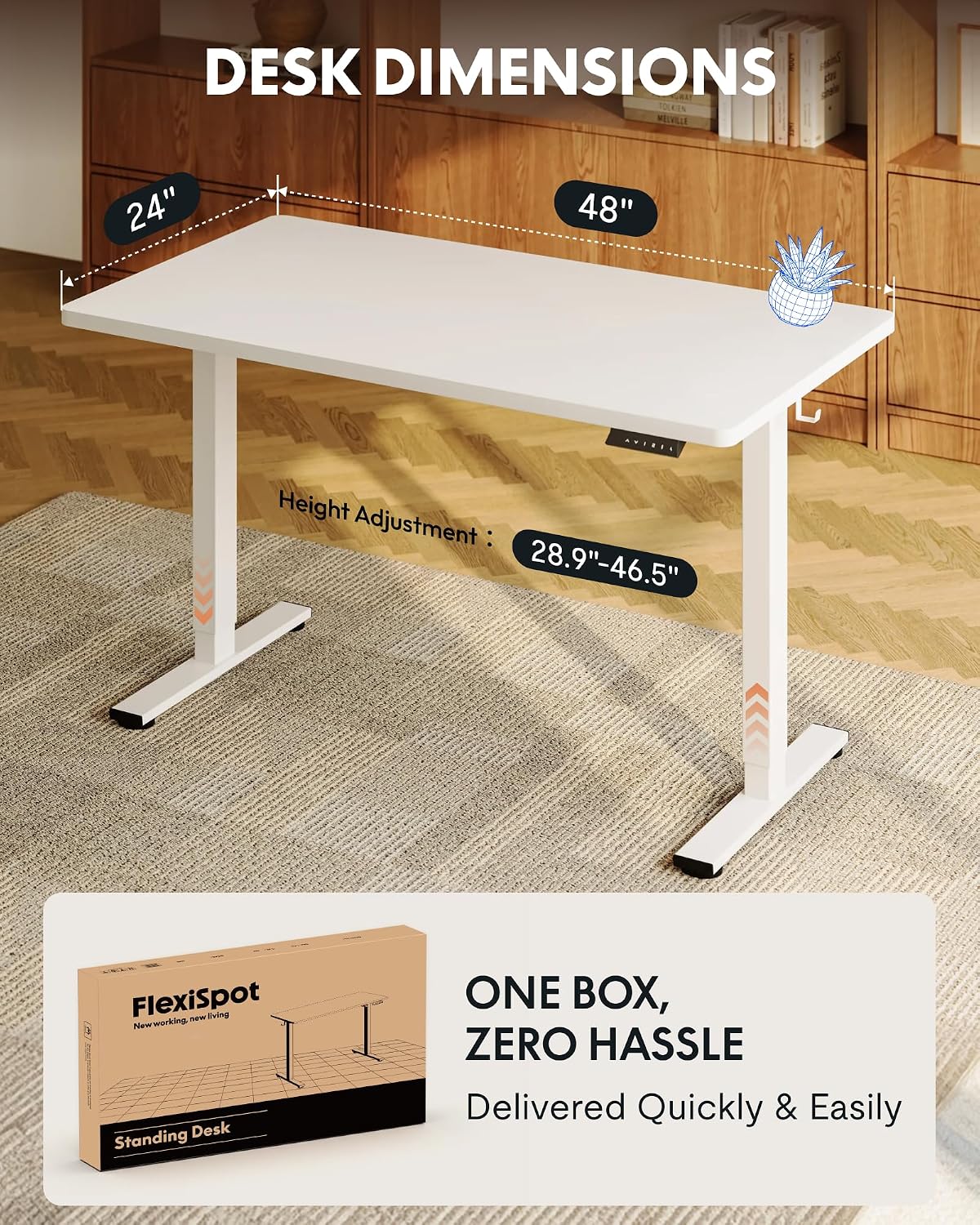FLEXISPOT EN1 48