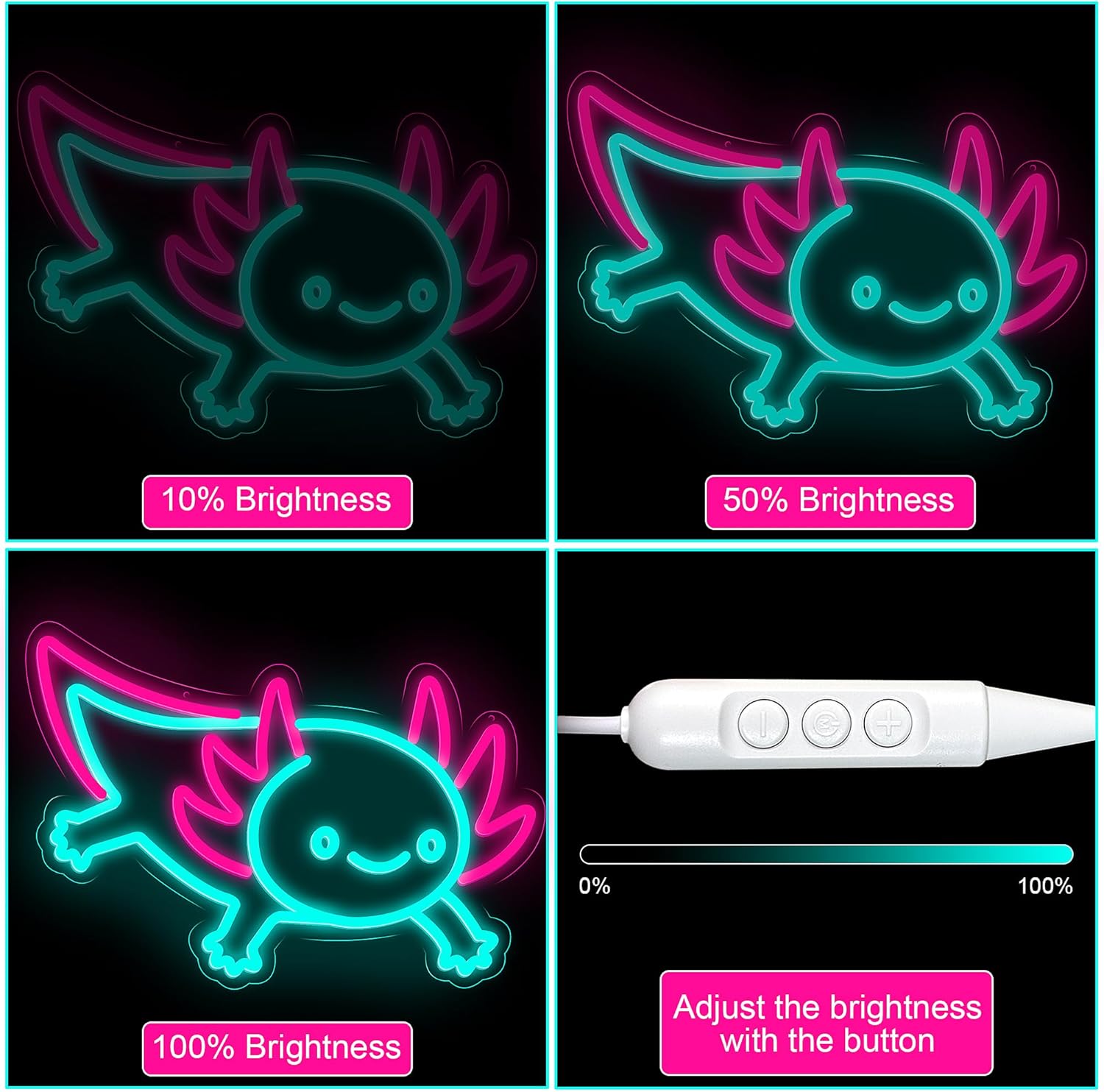 Axolotl Dragon Neon Sign Dimma - огляд і ціна Desk Setup Studio