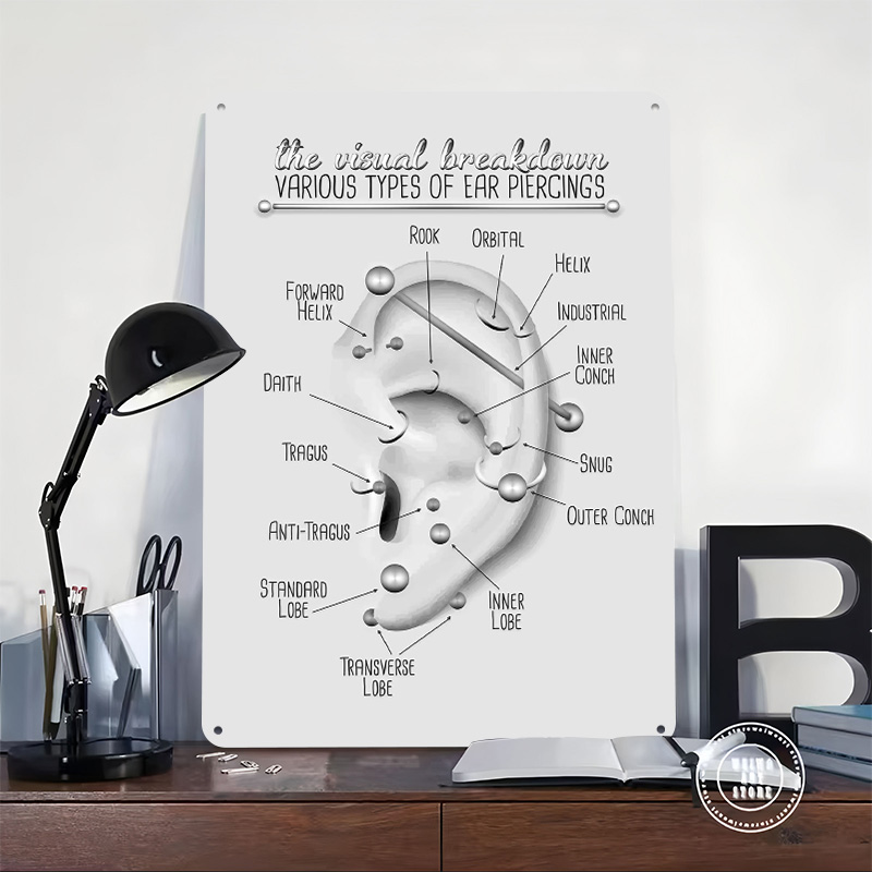 Ear Piercing Chart Metal Poste - огляд і ціна Desk Setup Poster