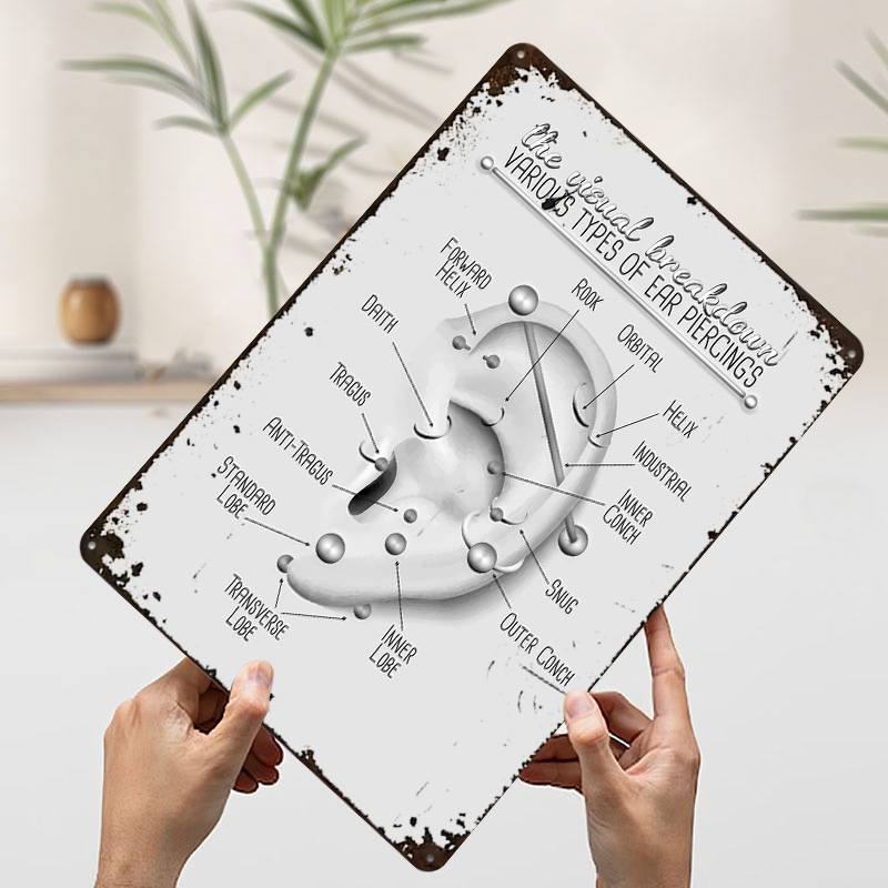 Ear Piercing Chart Metal Poste - огляд і ціна Desk Setup Poster