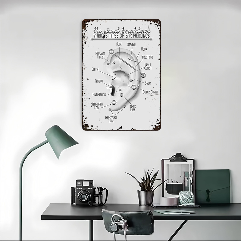 Ear Piercing Chart Metal Poste - огляд і ціна Desk Setup Poster